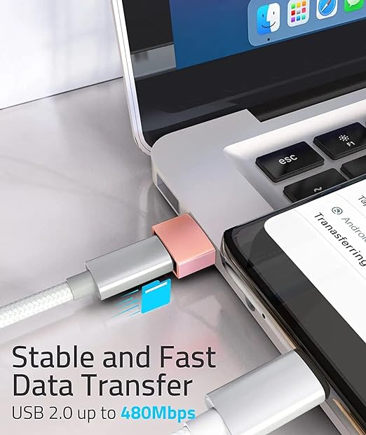 2-Pack Type C Female to USB Male Adapter, Charging Cable Connector Converter Compatible for Lightning Devices(RoseGold)