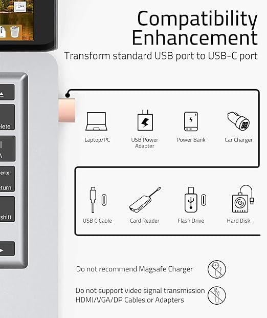 2-Pack Type C Female to USB Male Adapter, Charging Cable Connector Converter Compatible for Lightning Devices(RoseGold)