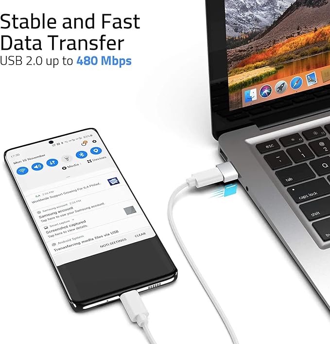 2-Pack Type C Female to USB Male Adapter, Charging Cable Connector Converter Compatible for Lightning Devices(Silver)