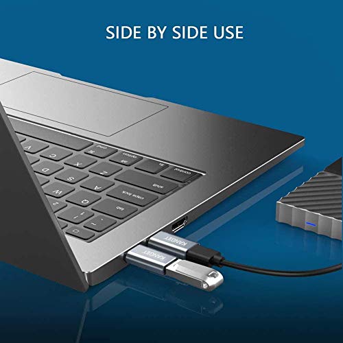 USB Type C Female to USB Male Adapter with Standard USB 3.1 Interface (5 Gbps) (Silver)